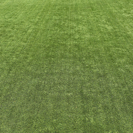 green grass turf texture backgroundの写真素材