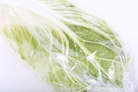 chinese cabbage wrapped in a plastic bagの写真素材