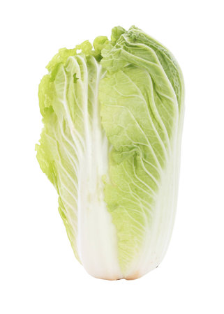 chinese cabbage isolated on white backgroundの写真素材