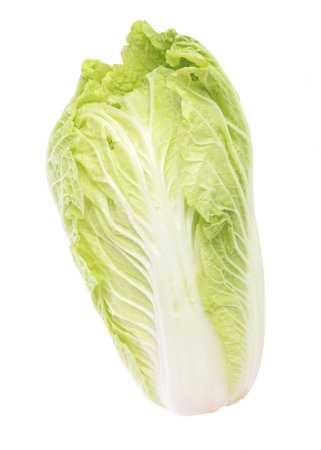 chinese cabbage isolated on white backgroundの写真素材
