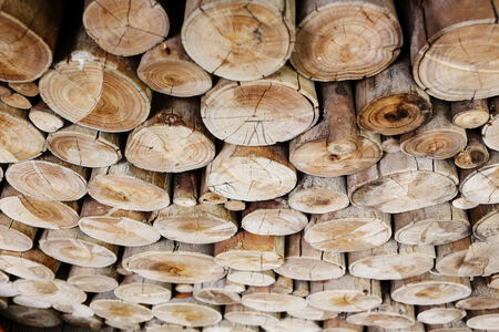 Pile of wood logs ready for industryの写真素材