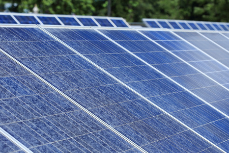 Solar panels for renewable energy production