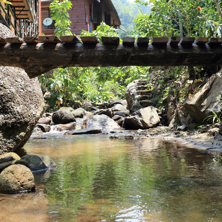 bridge wood plank above the river in natureのeditorial素材