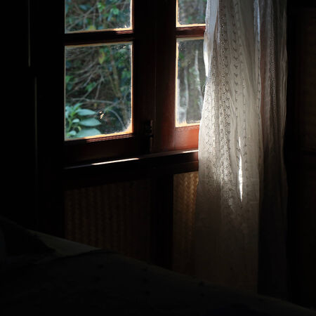 luxury curtain at the window in morning