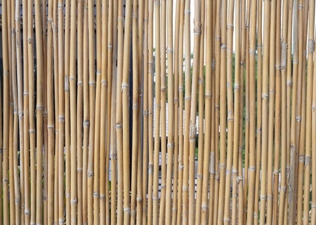 bamboo wall texture backgroundの写真素材