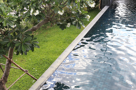 swimming pool of modern resort hotelの写真素材