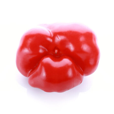 red pepper on white backgroundの写真素材