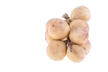 longkong tropical fruit isolated on white backgroundの写真素材