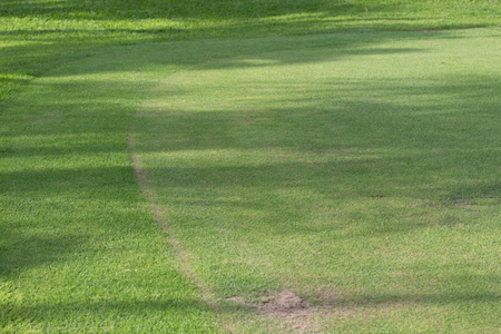 green grass field of sport playing areaのeditorial素材