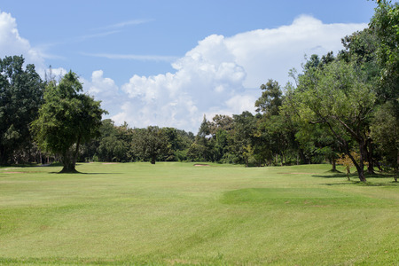 lawn of golf courseの写真素材