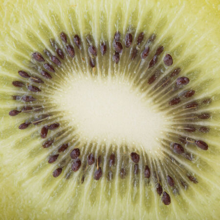 kiwi fruit, close up imageの写真素材