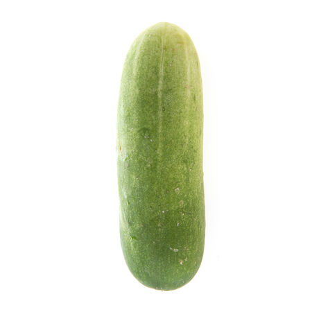 cucumber isolated on white backgroundの写真素材