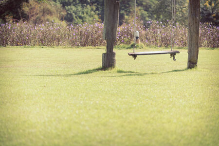 playground swing made wood hanging in green grass fieldの写真素材