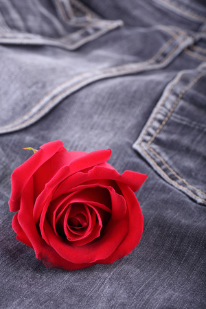 red rose flower on black jeans denim textureの写真素材