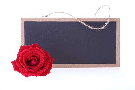 chalkboard sign blank text message with red rose flower isolated on white backgroundの写真素材