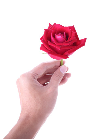 hand holding a red rose flower isolated on white backgroundの写真素材