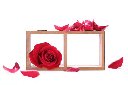 wood shelf decorated with red rose flowers isolated on white backgroundの写真素材