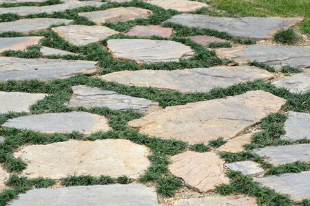 design floor of pavement with stone and grass