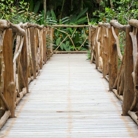 wooden walkway in green nature garden