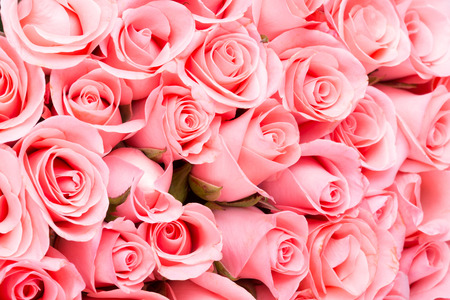 pink rose flower bouquet background