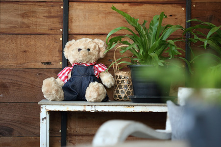 doll teddy bear baby decorated in home with wood wallの写真素材