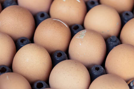 fresh organic eggs from chicken farm agriculture for sale at the market