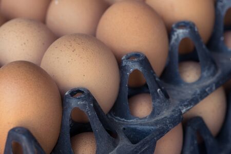 fresh organic eggs from chicken farm agriculture for sale at the market