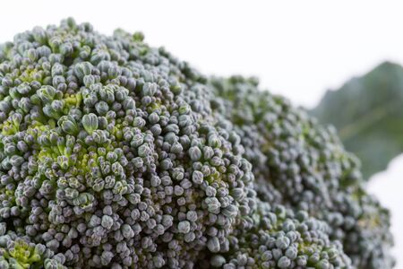 green broccoli organic vegetable, close up imageの写真素材