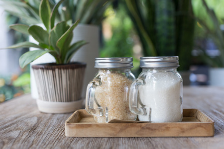 sugar in glass jar with small tree in the pot plant decorated cafe shop