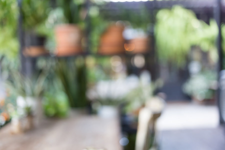 abstract blur image, decoration living room interior style green eco environmental with plant nad treeの写真素材