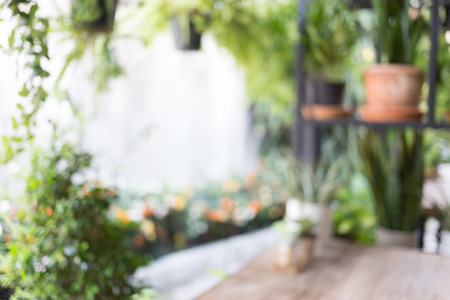 abstract blur image, decoration living room interior style green eco environmental with plant nad treeの写真素材