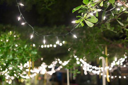 decoration light christmas celebration hanging on tree, abstract image blurred defocused backgroundの写真素材