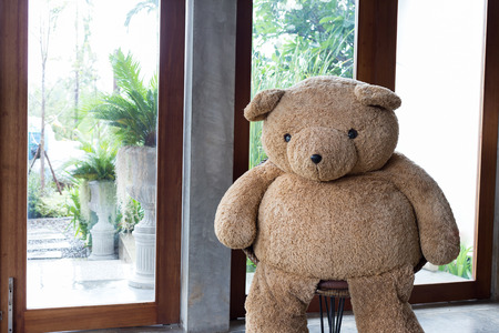 interior home decoration, big bear sitting on chairの写真素材