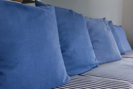blue pillow on sofa furniture decorated in living room