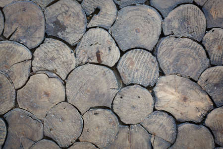 timber wood logs storage for industry backgroundの写真素材