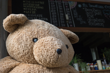 closeup big doll brown bear fluffy furの写真素材