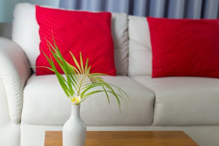 interior living room, white plumeria flower decoration in white vase with white sofa decorated