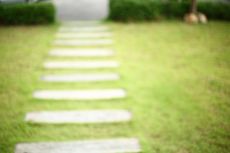pathway pavement step on green grass front yard gardenの写真素材