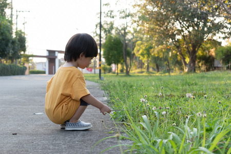 happy cute boy playing grass lawn in the parkの写真素材