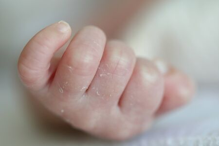 little baby hand softness skin healthy careの写真素材