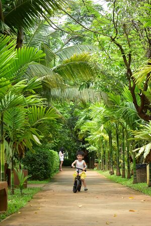 happy cute boy playing balance bike in the park have fun, family outdoor activity of healthyの写真素材