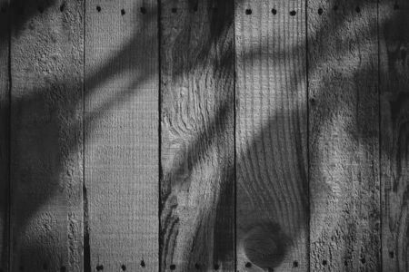dark wood barn wall plank texture background with light shiny in night, top view of old wooden table, image black and white monochrome toneの写真素材