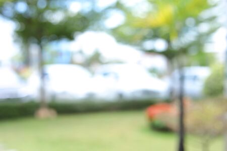 green grass field in natural park, image blur backgroundの写真素材