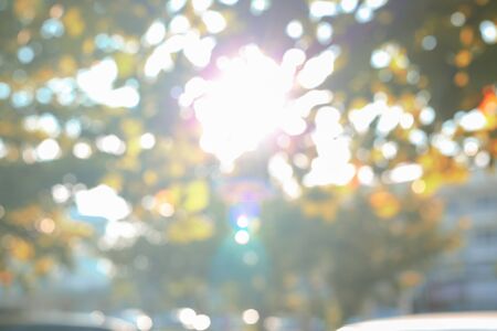 sun light through autumn tree in the morning, image blur backgroundの写真素材