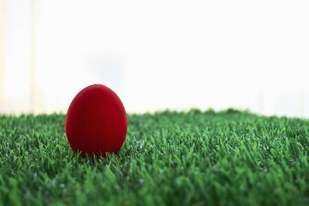 red easter egg on lawn green grass artificial with blank white backgroundの写真素材