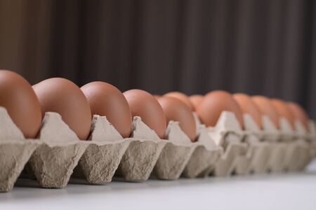 fresh organic egg in paper panel of consume industry