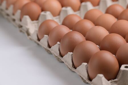 fresh organic egg in paper panel on white background