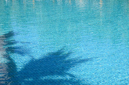 blue swimming pool with shadow of tree, beautiful backgroundの写真素材