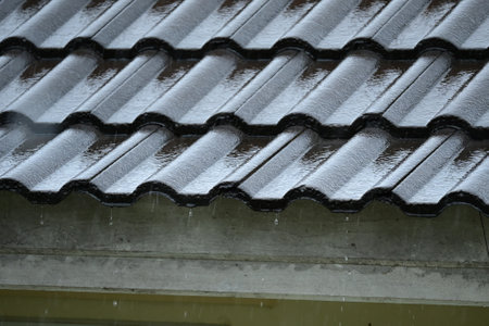 wet roof of house resident, construction industry