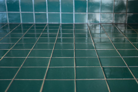 dark green wall bathroom, interior designの写真素材